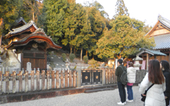 �������q ��_