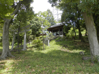 �h���R �⑺��א_��