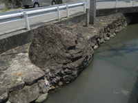 �_���c�@ �D�Ȃ���