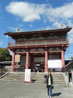 �l�V���� ����