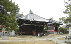 �吹���R��