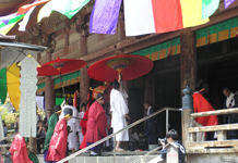 �l�V���� �����