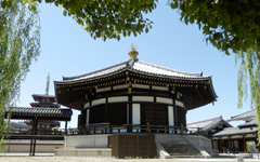 �l�V���� ����@