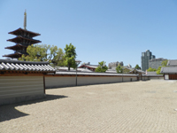 �l�V���� ����@