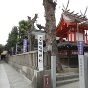 ���{�����_��