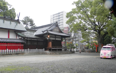 �~�~�C�x���̖��_��