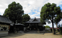 ����s ���_�_��