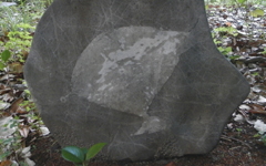 ����_�� ���V�{