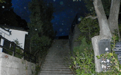 �F��c����_��