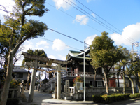 ������ �fᵚj�_��