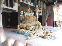 ��g����_�� �j���_��