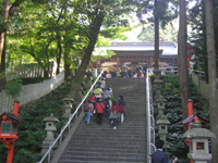 �����_�� �{�a