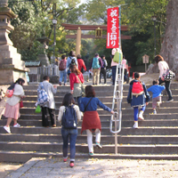 �����_�� �Q��