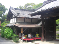 �J�^����