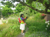 �C���O���b�V���K�[�f��