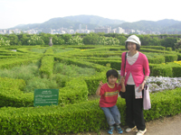 �m�b�g�K�[�f��