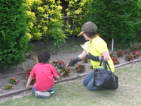 �C���O���b�V���K�[�f�� �L