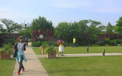 �C���O���b�V���K�[�f��