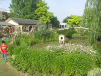 �т�Α�Ê� �X�C�����̒r