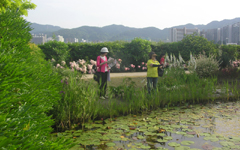 �т�Α�Ê� �X�C�����̒r