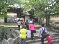 �J�^����