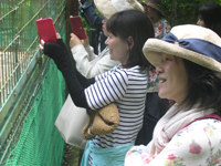 �O�䎛 �E��