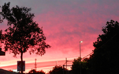 �k�C���̗[�z