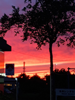 �k�C���̗[�z