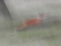 �k�C�� �L�^�L�c�l