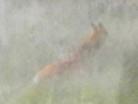 �k�C�� �L�^�L�c�l