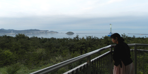 �����p�W�]��