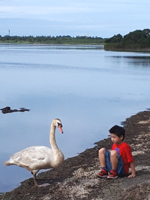 �E�g�i�C�΁@�n�N�`���E