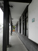 �������w��