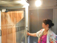 �A�C�k �A�b�g�D�V