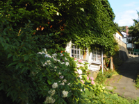 ���� ���{��̍�