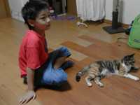 �эL �����܂����