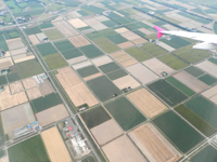 �V��΋�` �s�[�`