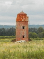 �����K���� �T�C��