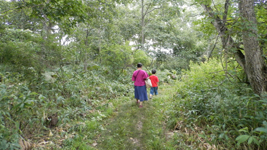 �E�g�i�C�� �X