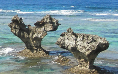 �n�[�g���b�N