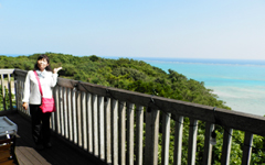 Cafe��Ԃ���