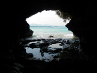 �n���[�[�̓��A