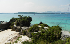 �V���T��