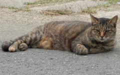 ���A�m�� �L