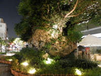 �����̑��