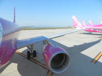 �֐����ۋ�` �s�[�`