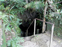 �����ߓ���