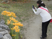 �V���E�L�Y�C�Z��