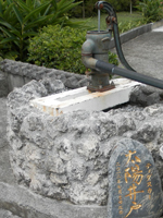 ���z��� �e�B�_�k�J�[