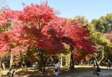 ��T�� �g�t